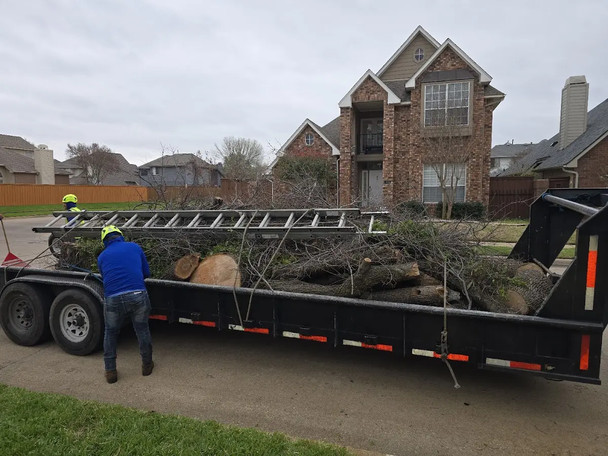 Expert Tree Removal with proper safety equipment in Inman